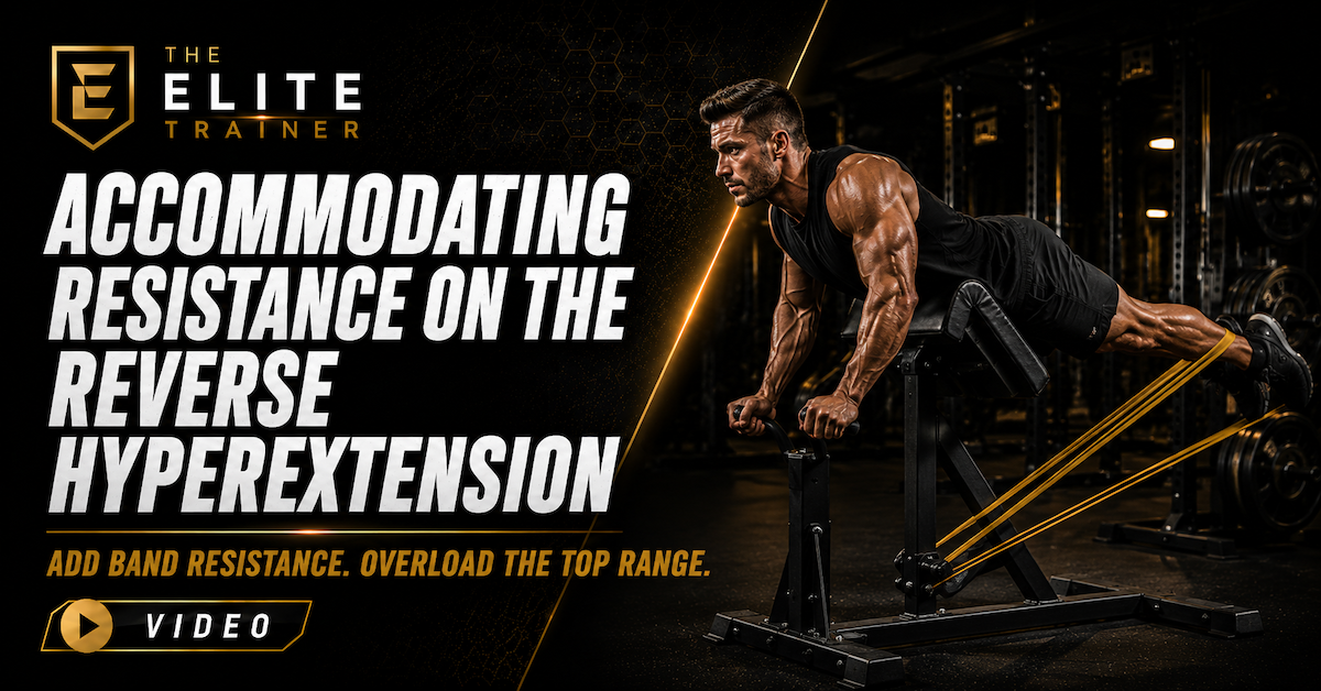 accommodating resistance on the reverse hyperextension