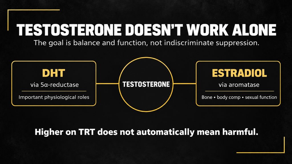 TESTOSTERONE DOESN'T WORK ALONE